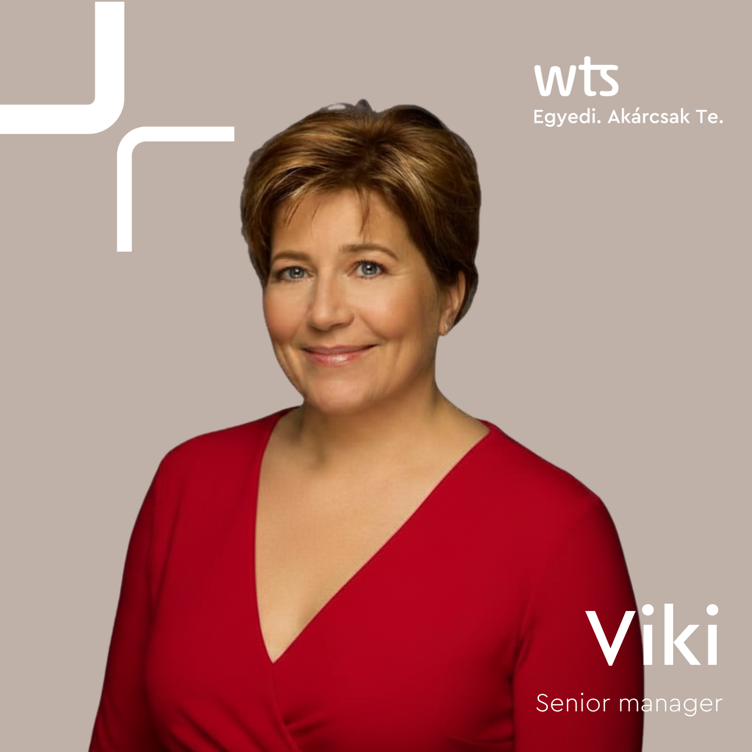 Viki_bér
